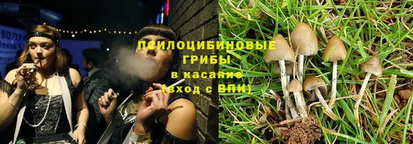 spice Бородино