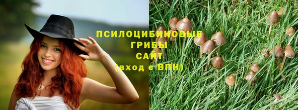 прущий лед Богданович