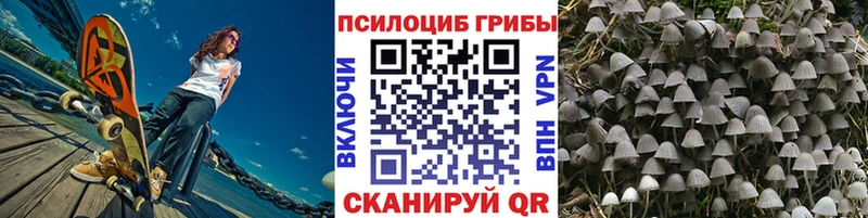 даркнет сайт даркнет как зайти Галлюциногенные грибы GOLDEN TEACHER Десногорск